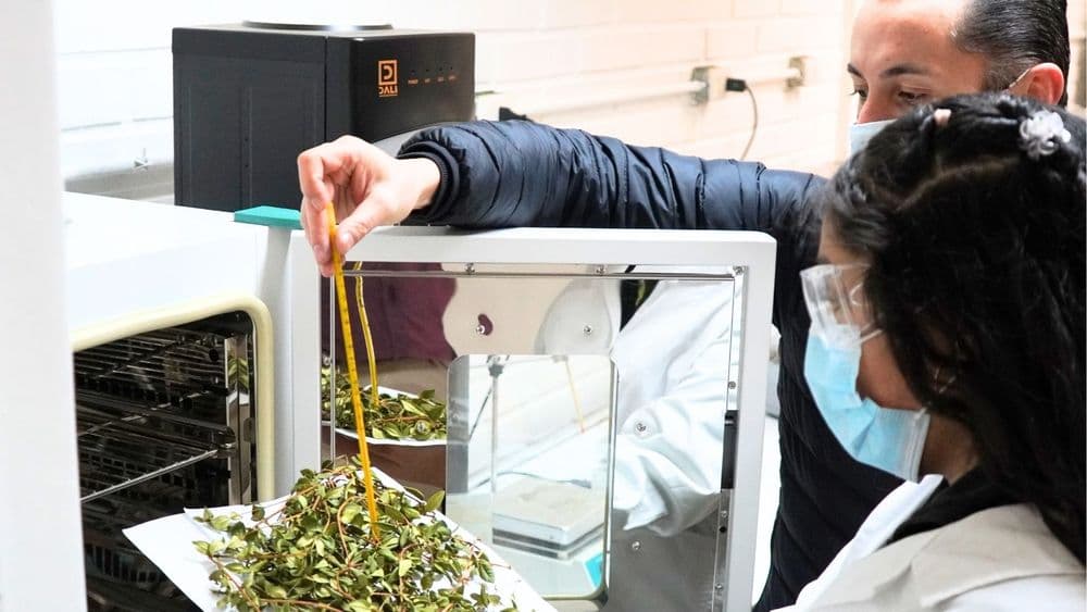 Estudiantes del Colegio TP Honorio Ojeda Valderas participarán en innovador proyecto regional de emprendimiento científico
