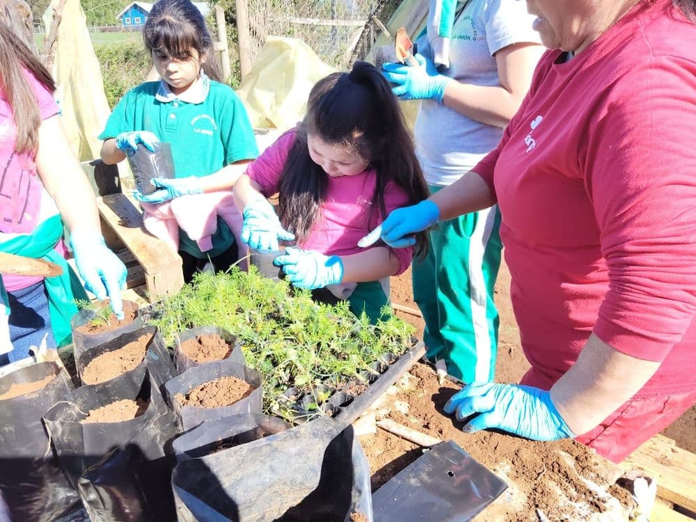 CONAF y Proyecto Farmanatura Rescatan Saberes Mapuches para Impulsar la Investigación de Hierbas Medicinales
