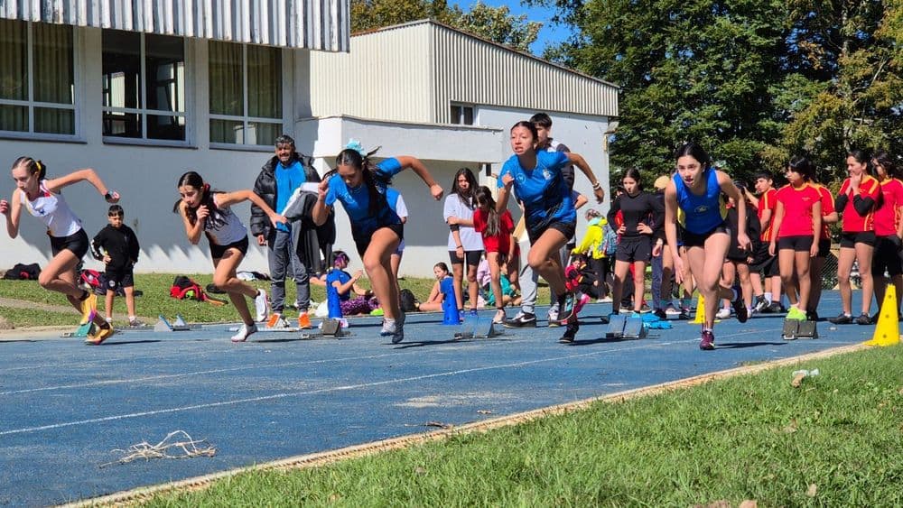 Gran participación de nuestros estudiantes en campeonato interescolar en Valdivia