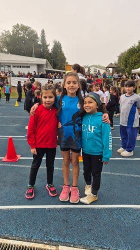 Imagen adicional 157